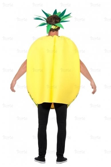 Pineapple Costume 1
