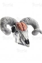 Latex Rams Skull