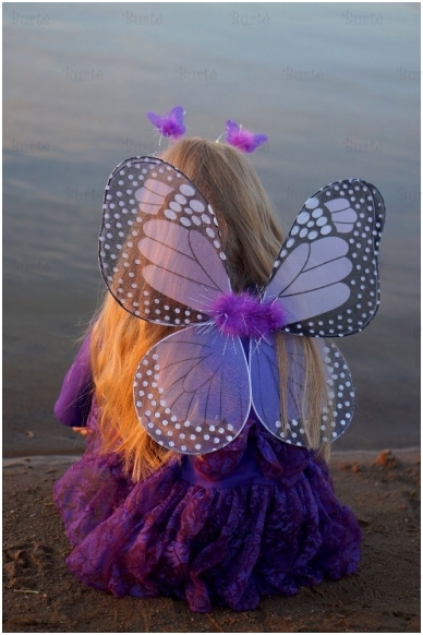 Butterfly kit