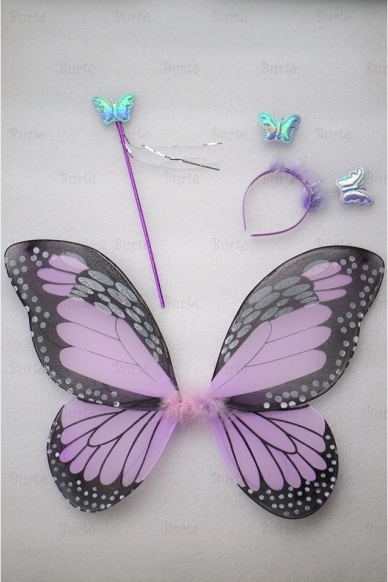 Butterfly kit 1