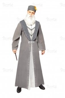 Costume Dumbledore