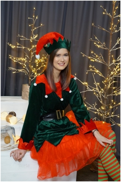 Elfo kostiumas 2