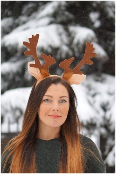 Reindeer costume 1