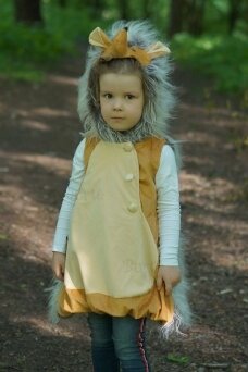 Hedgehog costume
