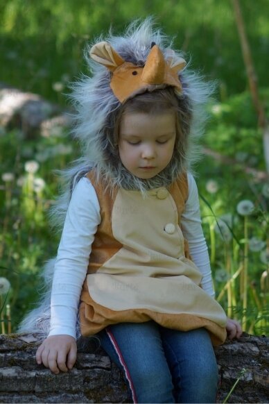 Hedgehog costume 2