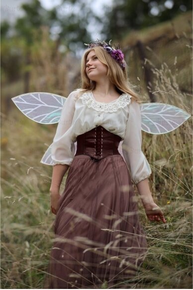 Fairy wings 3
