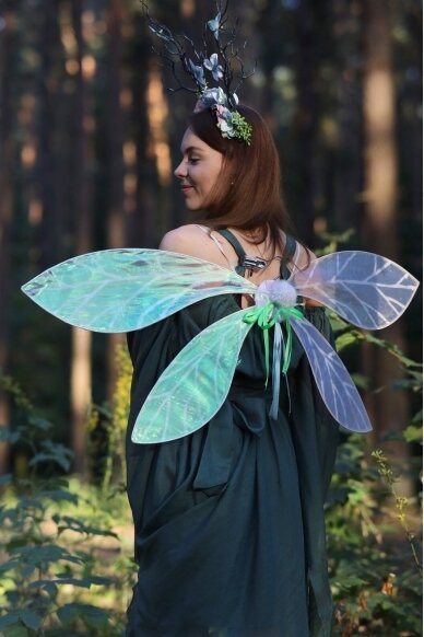 Fairy wings 2