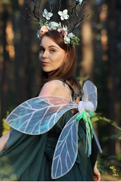 Fairy wings 1