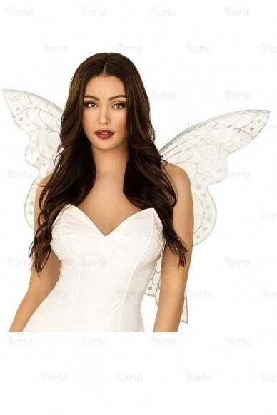 Glitter fairy wings 1