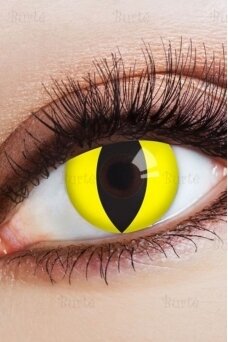 Contact Lenses "Cat Eyes" (12 months)