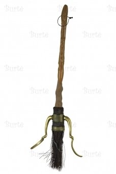 Harry Potter's broom