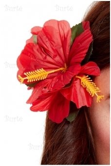 Havajietiška gėlė į plaukus