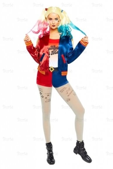 Harley Quinn Costume 1