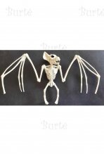 Bat Skeleton Decoration