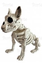 Helovino dekoracija "Šuns skeletas"