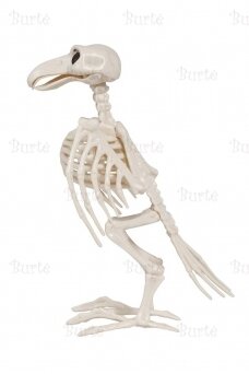 Helovino dekoracija "varnos skeletas"