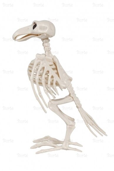 Helovino dekoracija "Varnos skeletas"