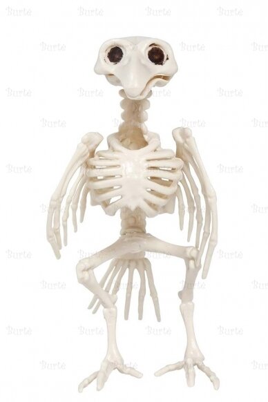 Helovino dekoracija "Varnos skeletas" 3
