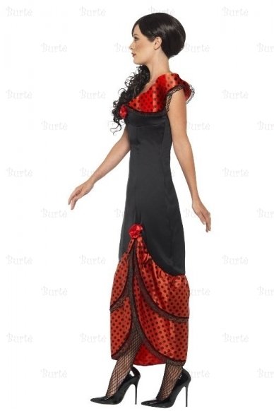 Flamenco Senorita Costume 1