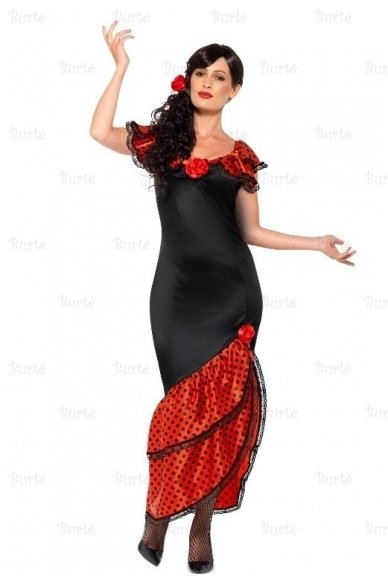 Flamenco Senorita Costume 2