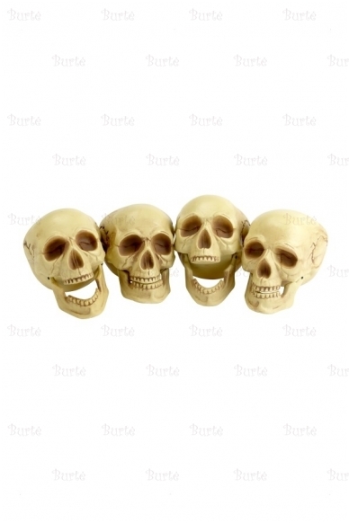 Skull Head 1