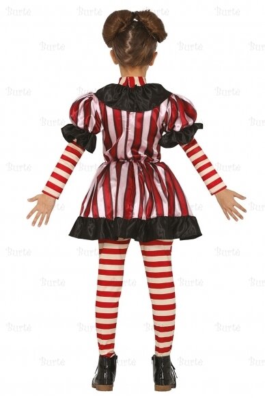 Clown costume 1