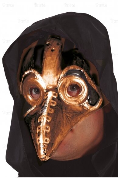 Plague Doctor Mask 1