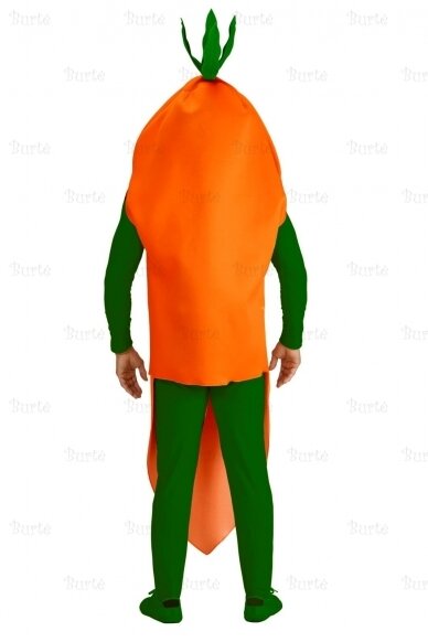 Carrot Costume 2