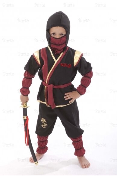 Ninja costume 1
