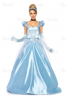 Adult's Cinderella Costume
