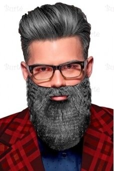 Grey Beard with Moustache