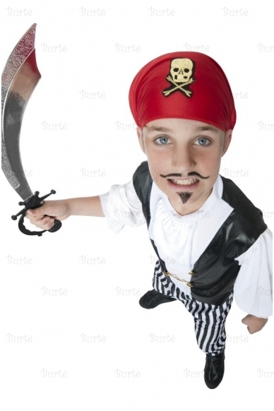 Pirate Costume 3