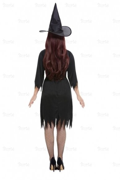 Witch costume 2