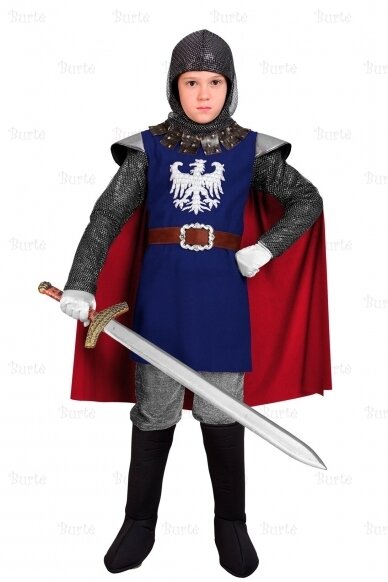 Knight costume 1