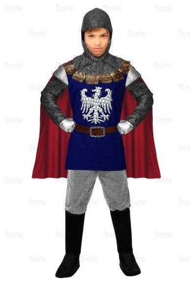 Knight costume 2