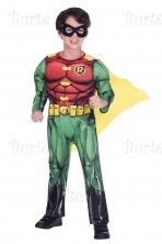 Child Costume Robin