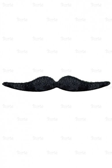 Dali Moustache 3