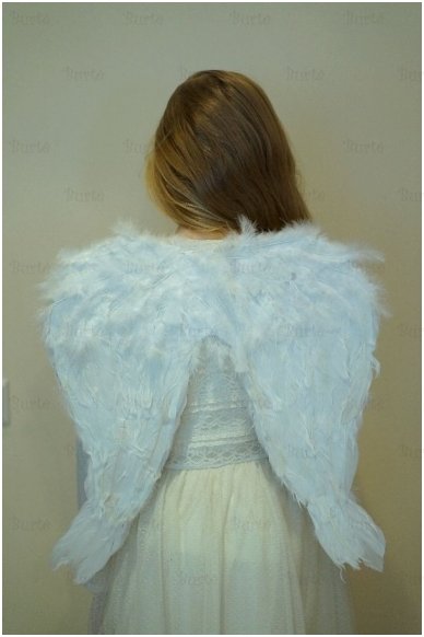 Angel wings 1