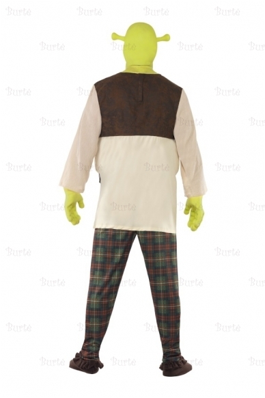 Shrek Costume 2