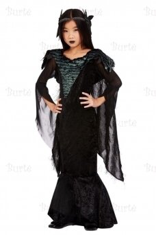 Raven Princess Costume