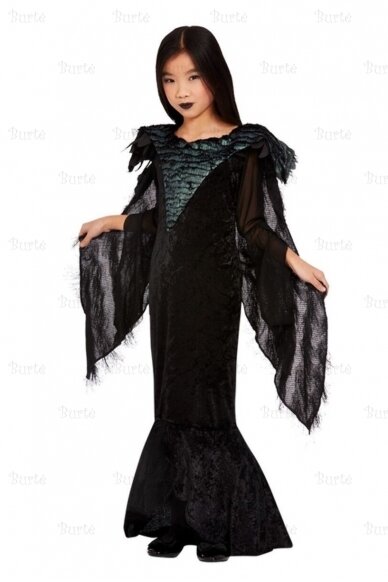 Raven Princess Costume 1