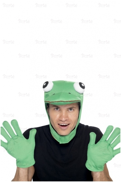 Frog Kit 1