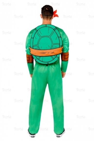 Ninja Turtles Costume 1