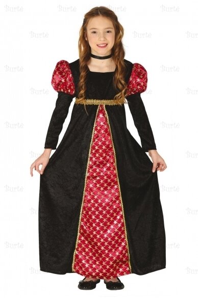 Medieval lady costume